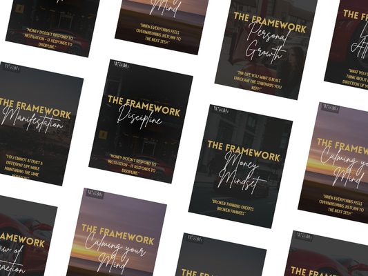 The Wealth System Bundle
